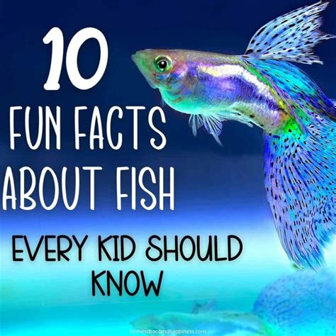 fish trivia|weird fish facts.